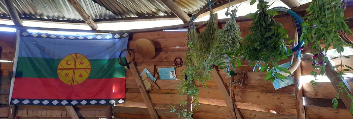 "Nos parece una falta de respeto": Agrupación mapuche de Laja denuncia que consultora de CMPC fotografió y expuso ruka sin su consentimiento.