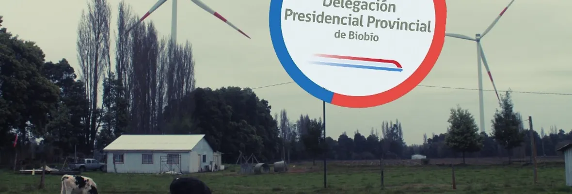 Seis meses esperando: Delegación Provincial del Biobío determina que "no existe plazo" para revisión de informe técnico de impactos de proyectos eólicos
