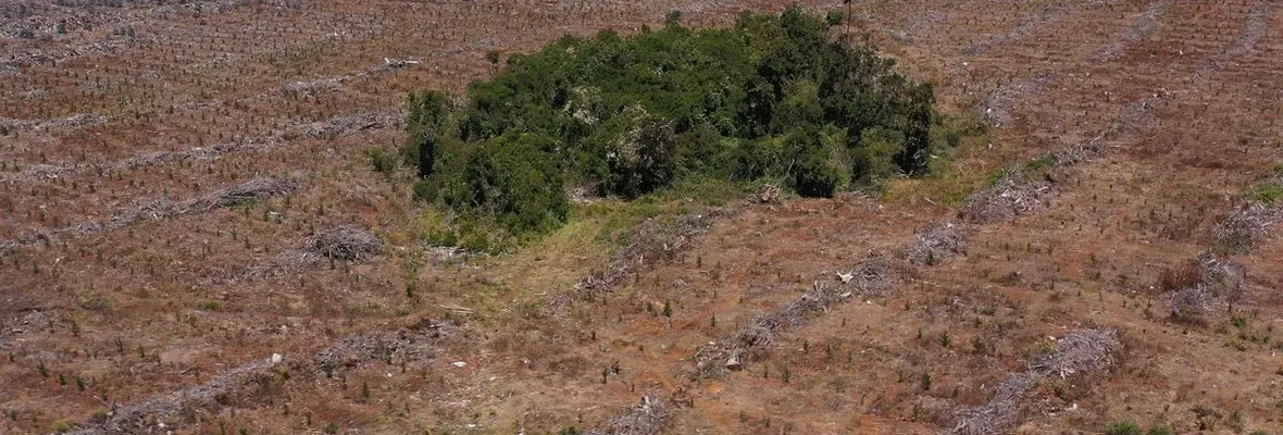 Una vida digna y en armonía con la Naturaleza requiere empresas honestas y un Estado que proteja el bien común