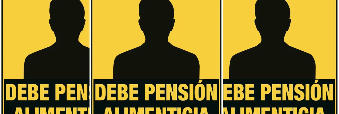 Candidatos rechazados por ley 'Papito Corazón' en Biobío: Partidos Social Cristiano, Republicano y Radical lideran la lista