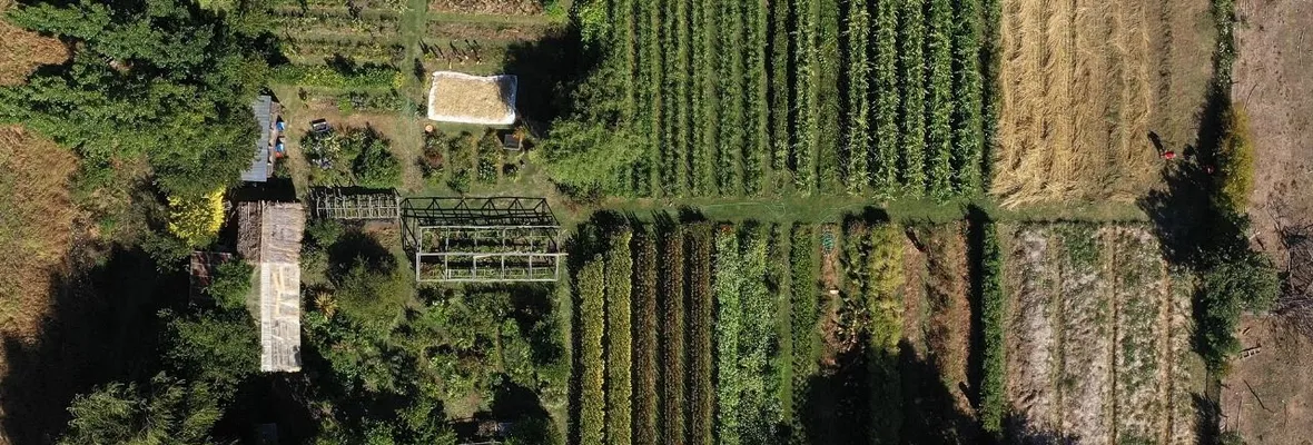 Küme Ülmen: Defensa y desarrollo económico desde Wallmapu