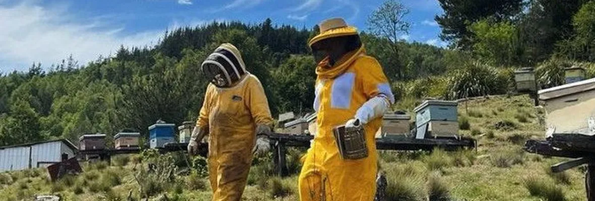 Agrupación Apiconce invita a curso de iniciación a la apicultura en la Región del Biobío