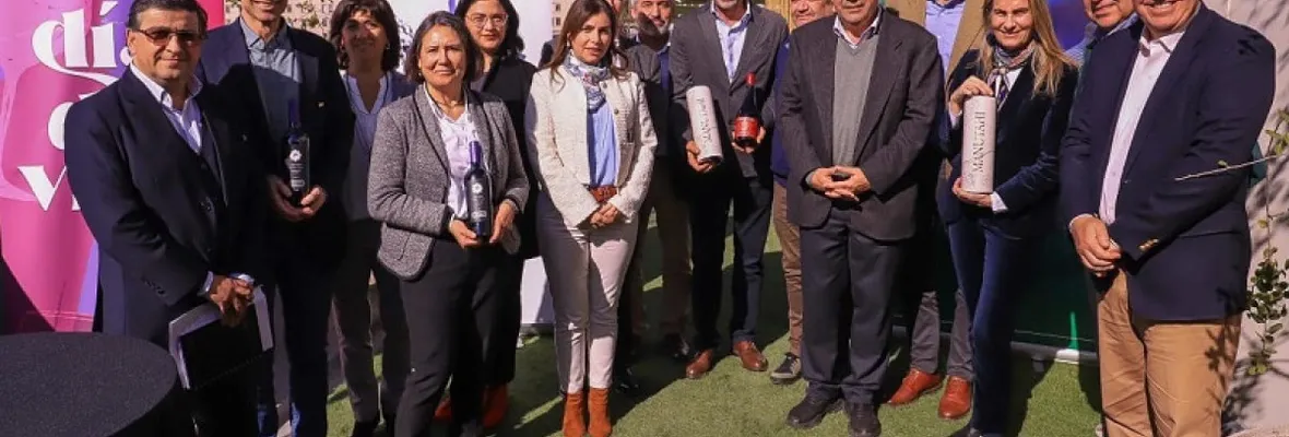 Nuevas denominaciones de origen y Pipeño que por decreto dejó de ser vino: ¿un plan trazado por el empresariado y ejecutado por autoridades?
