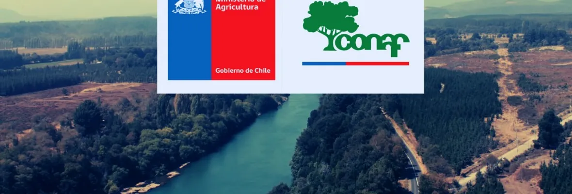 Central Rucalhue: Conaf da luz verde a faenas de cuestionado proyecto hidroeléctrico en el río Biobío