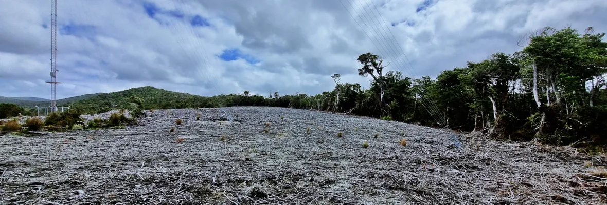 En Chonchi rechazan instalación de parque eólico que agravaría la escasez hídrica y denuncian a la empresa por tala ilegal de bosque nativo 