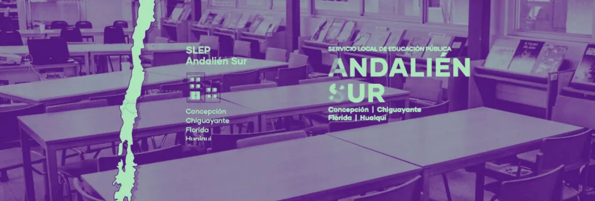 Funcionaria del SLEP Andalien Sur será formalizada en el Caso Convenios