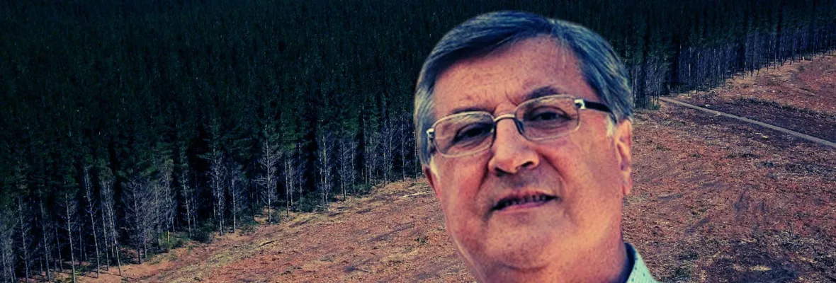 Lucio Cuenca, director del OLCA, sobre el impulso a la industria forestal: las alarmas sobre la profundización de un modelo basado en la explotación intensiva de recursos naturales