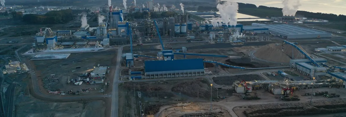 La pesadilla de ser vecino de la planta de celulosa más grande de Chile