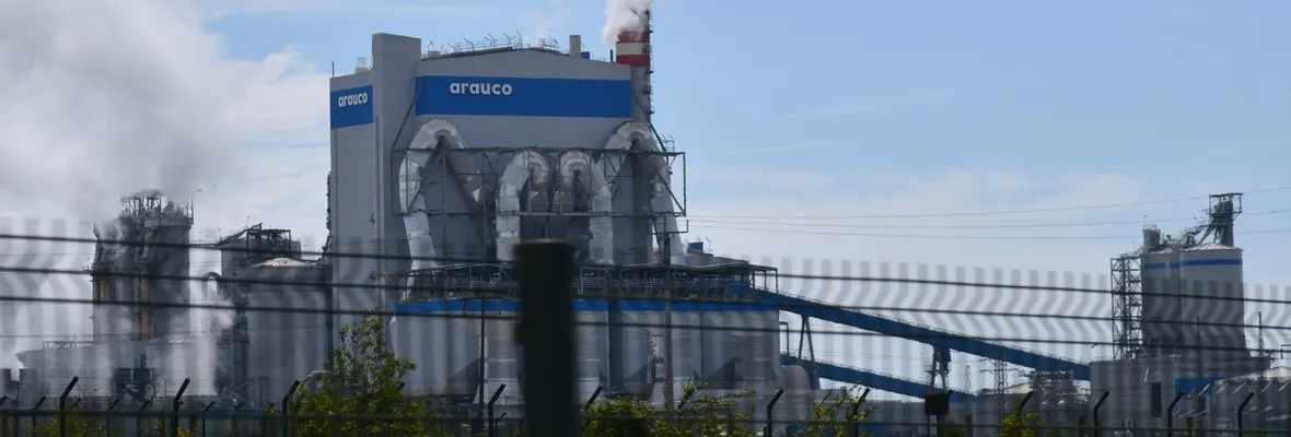 Forestal Arauco fue sancionada por prácticas antisindicales en proyecto MAPA