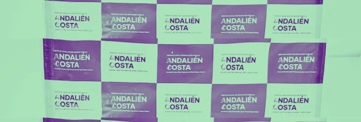 OPINIÓN| Andalién Costa: un nuevo SLEP que nos obliga a estar ojo al charqui