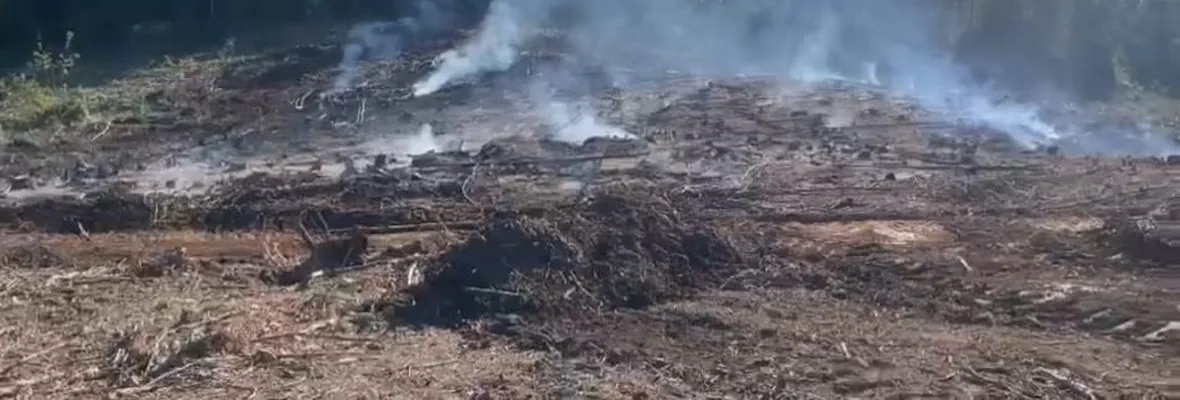 Incendio que amenazó Parque Nacional Nonguén inició en predio donde Arauco mantiene desechos forestales