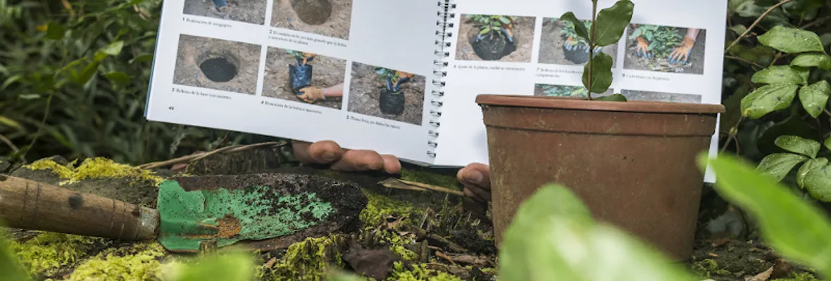 Nuevo manual para la propagación de árboles nativos será presentado en Concepción