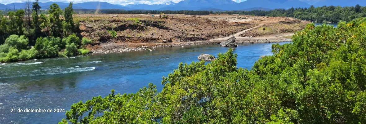 Ingresan recurso de invalidación contra decisión de CONAF de declarar Central Rucalhue como proyecto de interés nacional