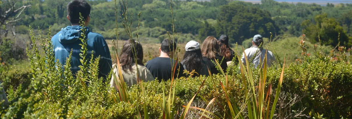 Parque Museo Pedro del Río Zañartu activa programación familiar con foco en la biodiversidad y la divulgación en ciencias para este verano 2025