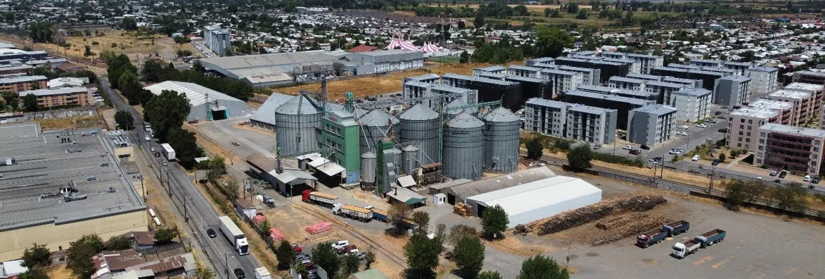 Productores de trigo de Ñuble acusan que «COTRISA es un chiste»