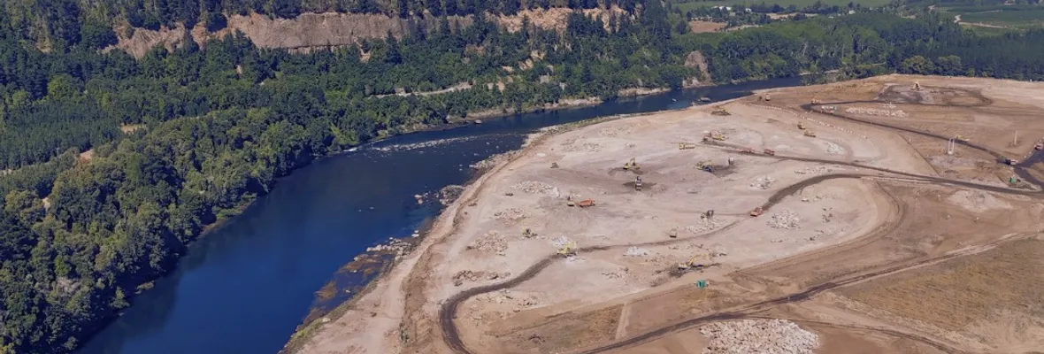 Bosque talado y pisoteando acuerdo internacional: avanza construcción de Central Rucalhue con venia del gobierno