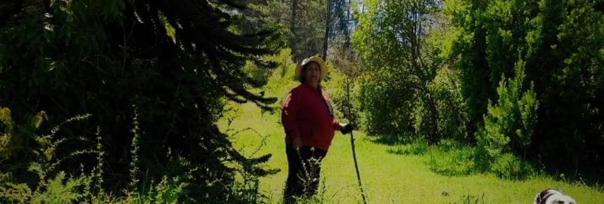 Gobierno de Boric es querellante en causa que mantiene a anciana mapuche con enfermedades de base presa en Temuco: Ya había sido absuelta de delitos similares por falta de pruebas