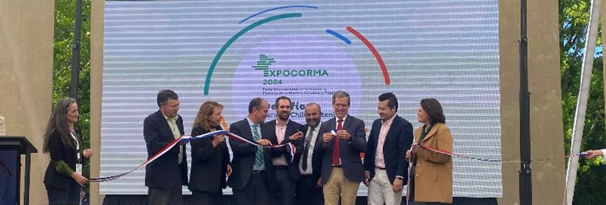 Empresas forestales se benefician con más de $70 mil millones gracias a subvenciones de CORFO y exenciones tributarias por Ley I+D