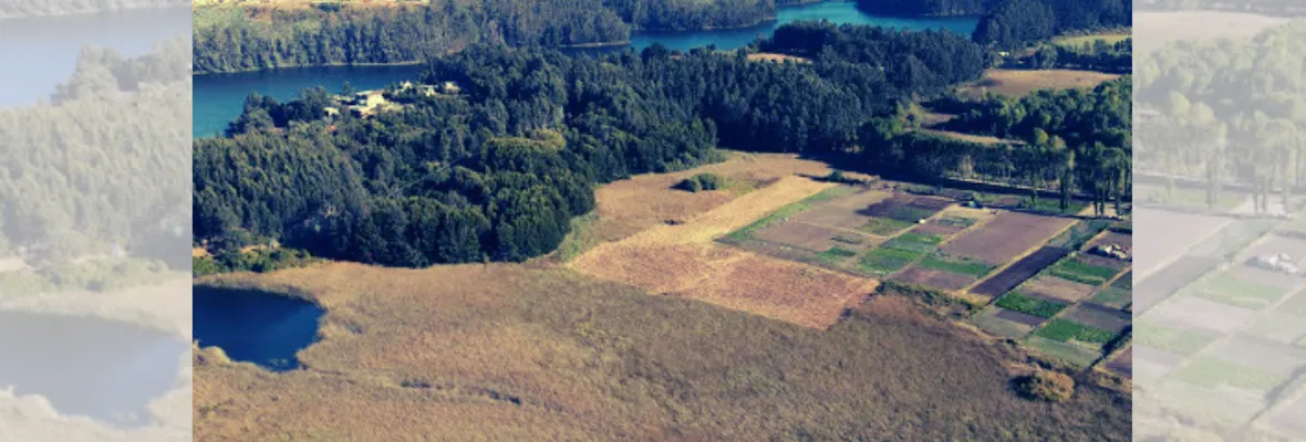 ¿Ciudad Santuario, quien se hace cargo? Grave abandono en Ecosistema Laguna Grande-Humedal Los Batros