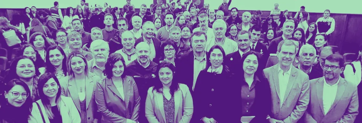 Otra promesa que no fue: el garrafal fracaso del "Nuevo Modelo Forestal" del Gobierno chileno