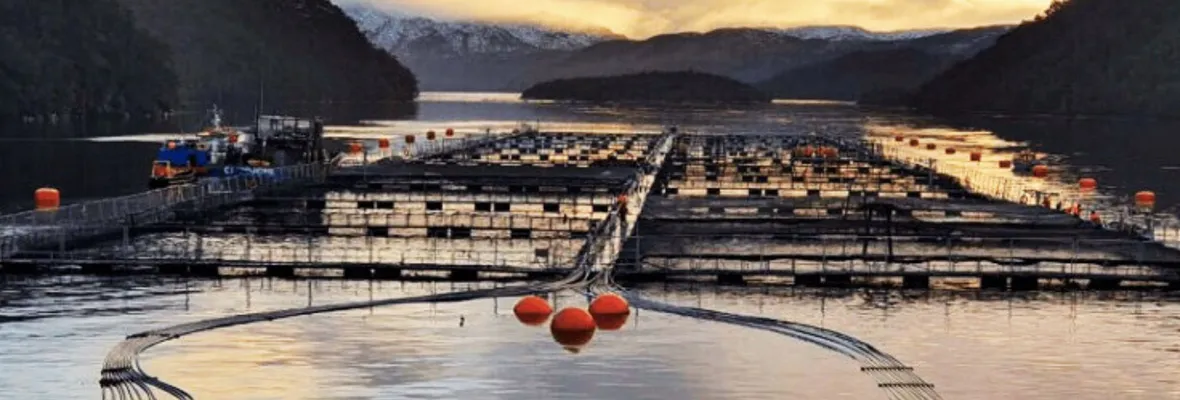Certificadoras ambientales bajo escrutinio por avalar daño ecológico y violaciones de derechos indígenas en la Patagonia
