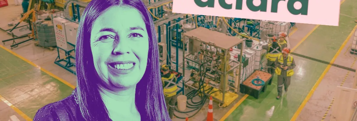 Encargada del Plan de Fortalecimiento Industrial designada por el Gobierno respaldó proyecto minero de tierras raras en Penco