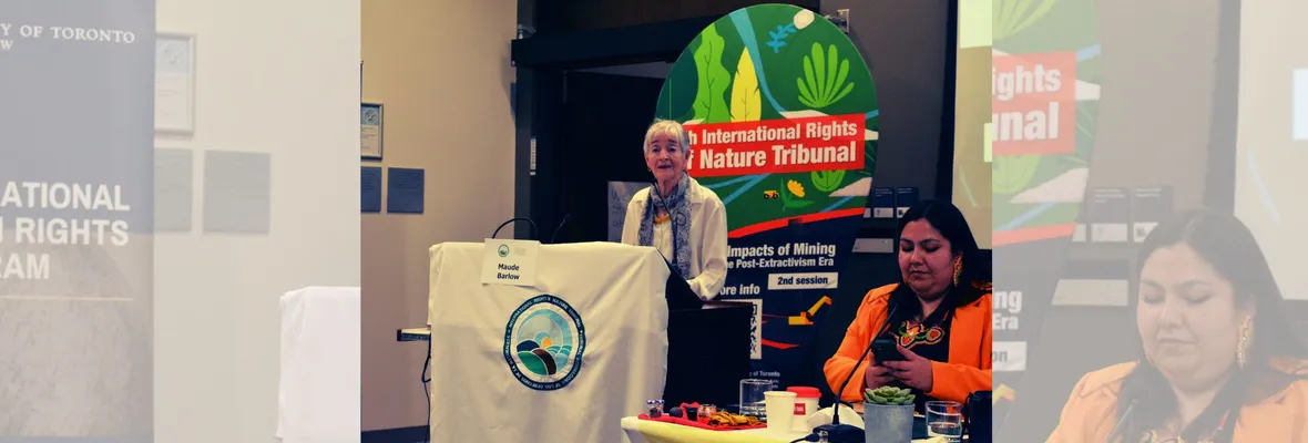 Tribunal de los Derechos de la Naturaleza declara culpables a empresas mineras canadienses por vulneraciones en Sudamérica y Serbia