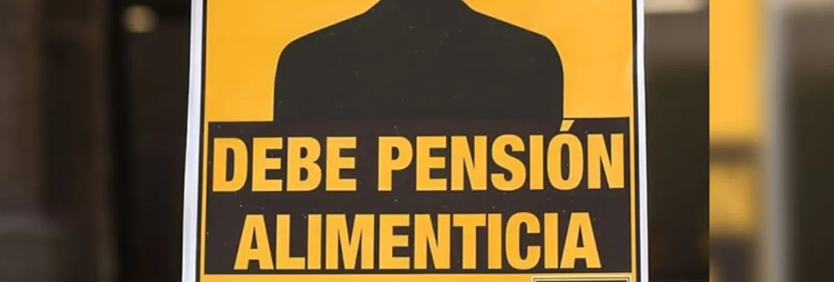 Ilegalidad: 242 municipalidades entregaron licencias de conducir a deudores de pensiones de alimentos