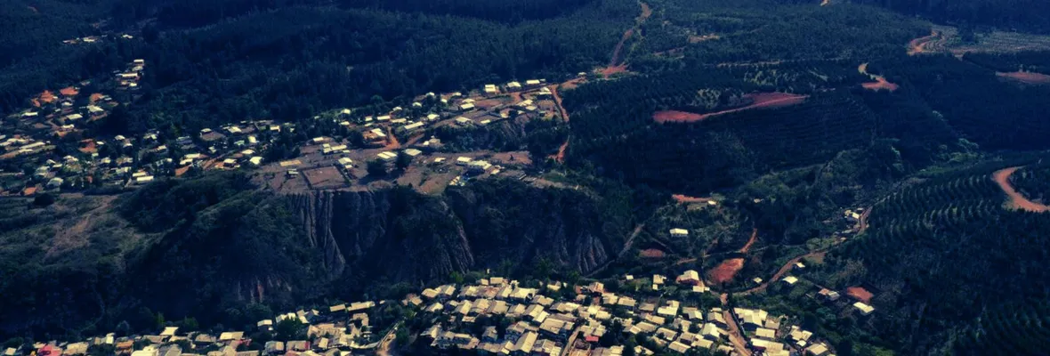 Mil familias arriesgan desalojo en Curanilahue: Llamaron al municipio y el Gobierno a intervenir ante Forestal Arauco por falta de terrenos para viviendas sociales