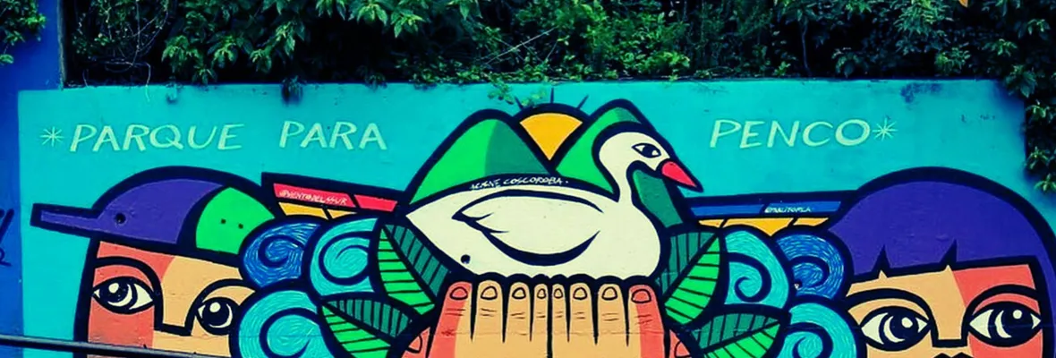 Carta abierta de la Corporación Parque para Penco a Joaquín Lavín, exalcalde de Las Condes y Santiago