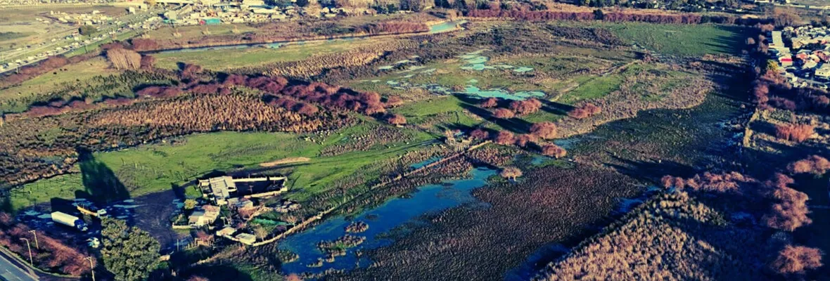 Tras años de presión socioambiental: SMA clausura vertedero ilegal que afecta humedal Vasco Da Gama de Hualpén