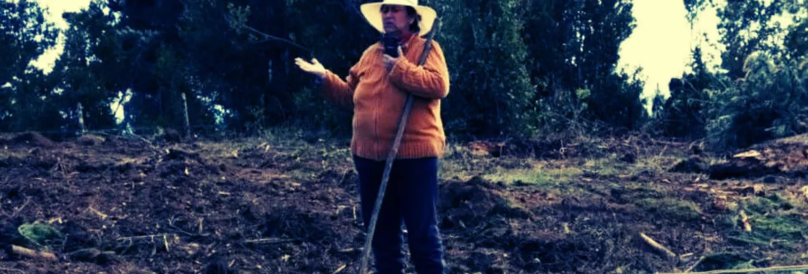 Pese a cumplirse plazo de investigación anciana mapuche sigue presa en Temuco: Suprema revisará el martes amparo en su favor
