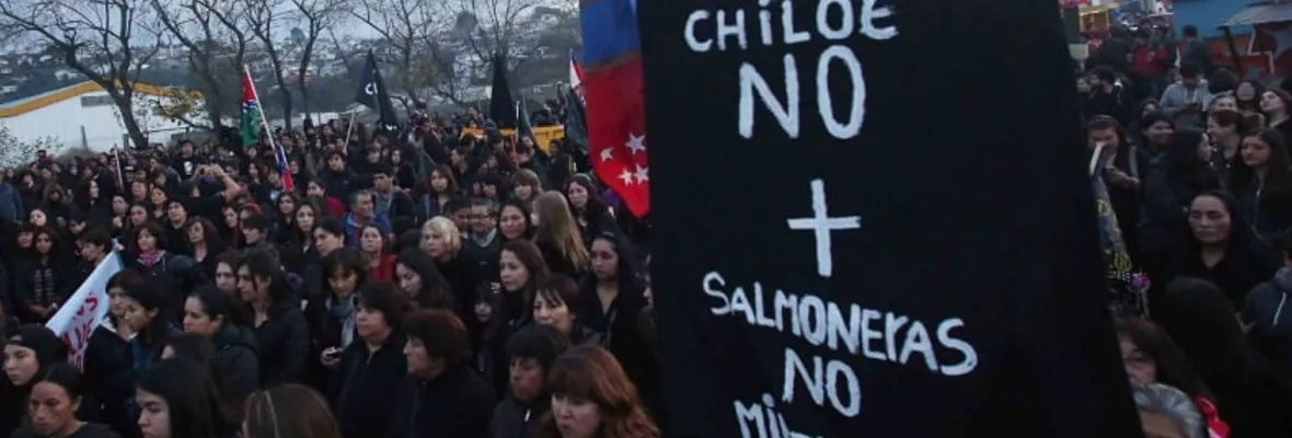 El Mayo Chilote y la catástrofe salmonera que aún espera justicia