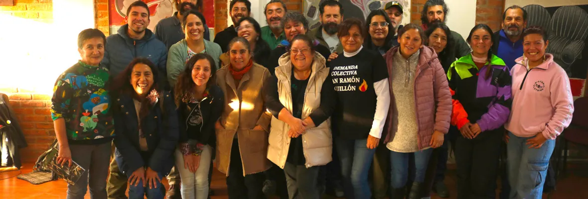 Realizan encuentro sobre impactos del monocultivo forestal en el Biobío