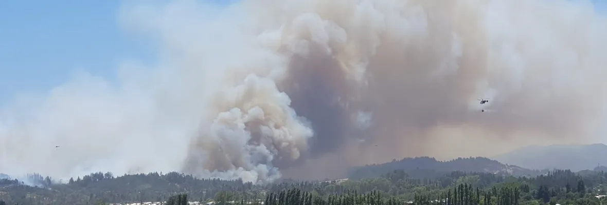 "Somos David contra Goliat": Familias de Quillón acusan responsabilidad de Forestal Arauco por la destrucción sufrida en megaincendio de 2023