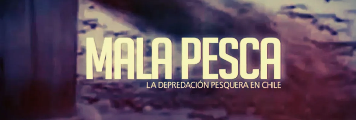 Mala Pesca: el documental que debes ver para entender el negocio de la depredación pesquera en Chile