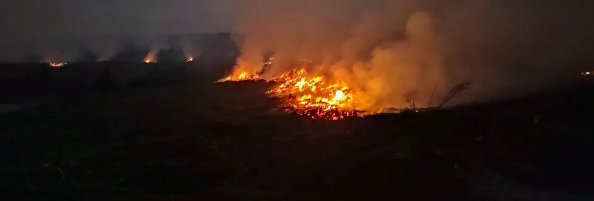 Alto riesgo para la salud respiratoria: Denso humo en Curanilahue tras quemas de Forestal Arauco