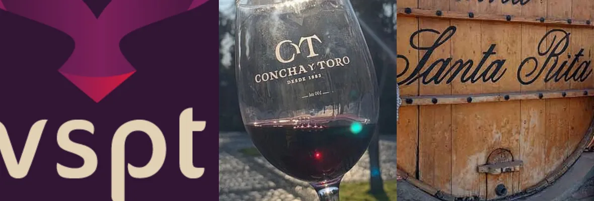 Grandes viñas siguen acumulando ganancias, mientras productores de uva se ahogan en el empobrecimiento