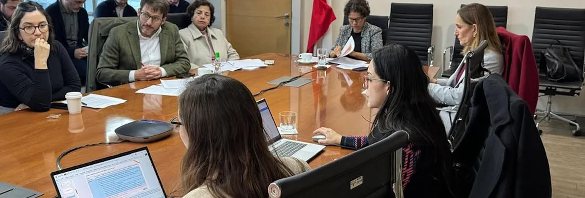 A metros de un Parque Nacional: Comité de Ministros aprobó polémica supercarretera eléctrica que afectará a miles de familias en Maule, Ñuble y Biobío