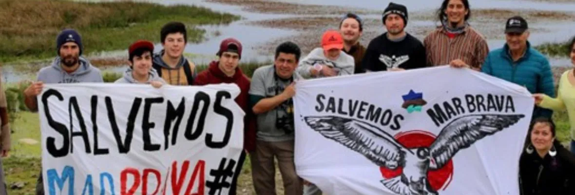 Institucionalidad ambiental y chilotes demandan declarar inválido permiso de ECOPOWER para Parque Eólico Chiloé por conducta maliciosa