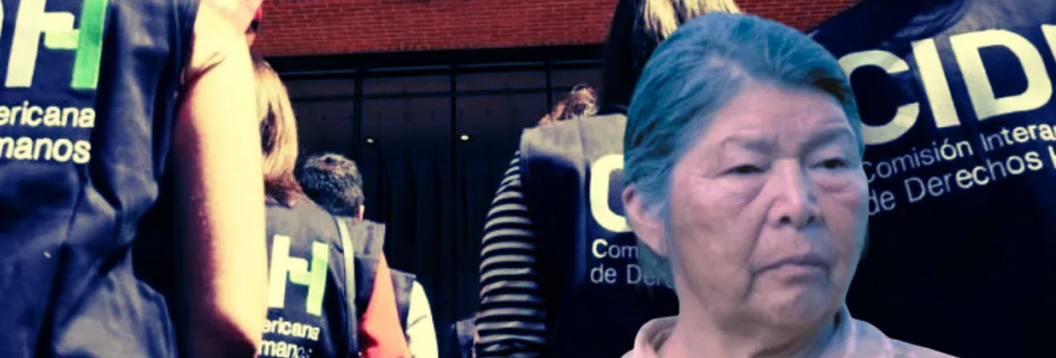 Julia Chuñil: CIDH exige al Estado de Chile redoblar búsqueda