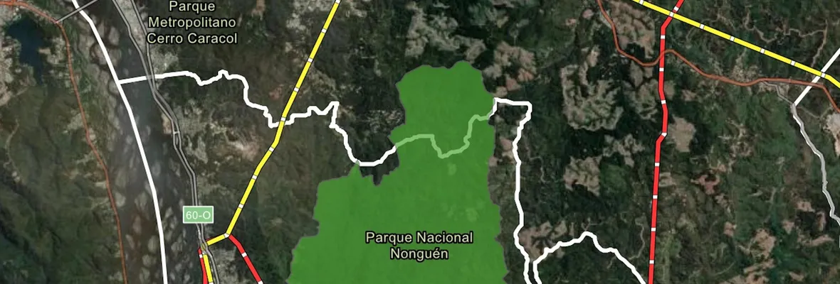 Anillo eléctrico amenazará a perpetuidad al extraordinario Parque Nacional Nonguén: Municipalidades acudirán al Tribunal Ambiental