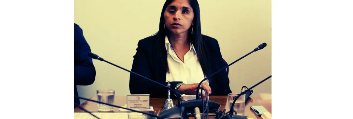"No hay razones técnicas ni jurídicas que lo impidan": Senadora Campillai critica demora en discusión de proyecto que busca dejar de pagar sueldos a diputados desaforados
