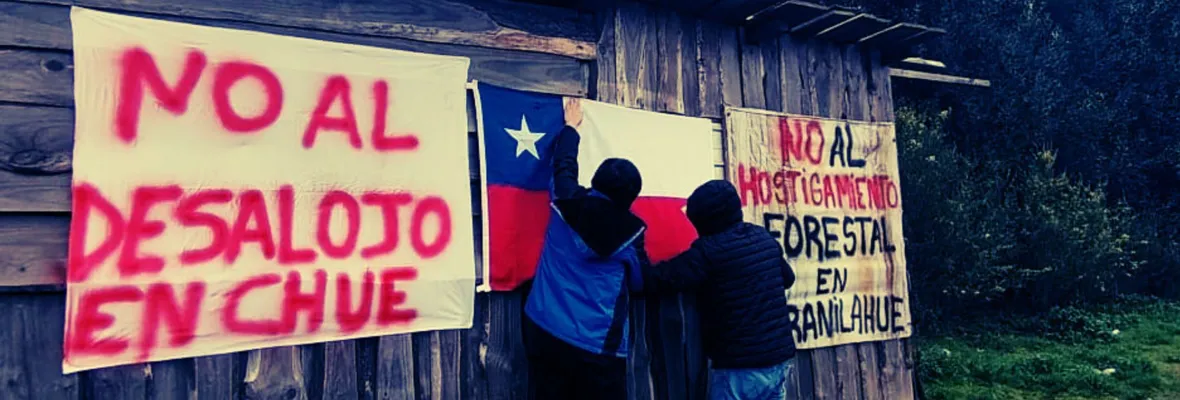 "Están todos coludidos, están todos vendidos": Pobladora de Curanilahue por  inminente desalojo demandado por Forestal Arauco y patrocinado por el Gobierno