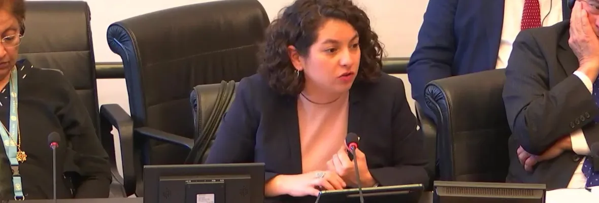 Organizaciones calificaron con rojo examen de Chile ante el Comité de Derechos Económicos, Sociales y Culturales de la ONU