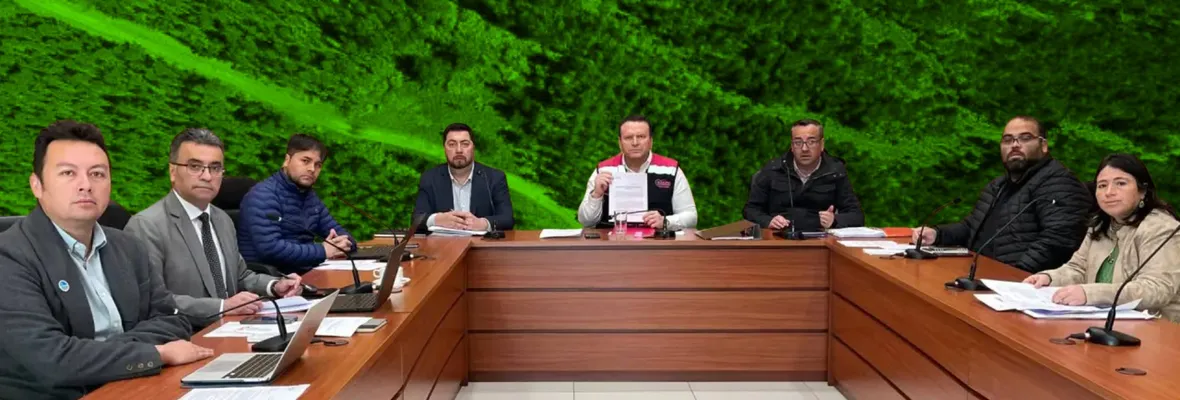 Tierras raras: Concejo Municipal de Penco declara a la comuna "territorio libre de minería"