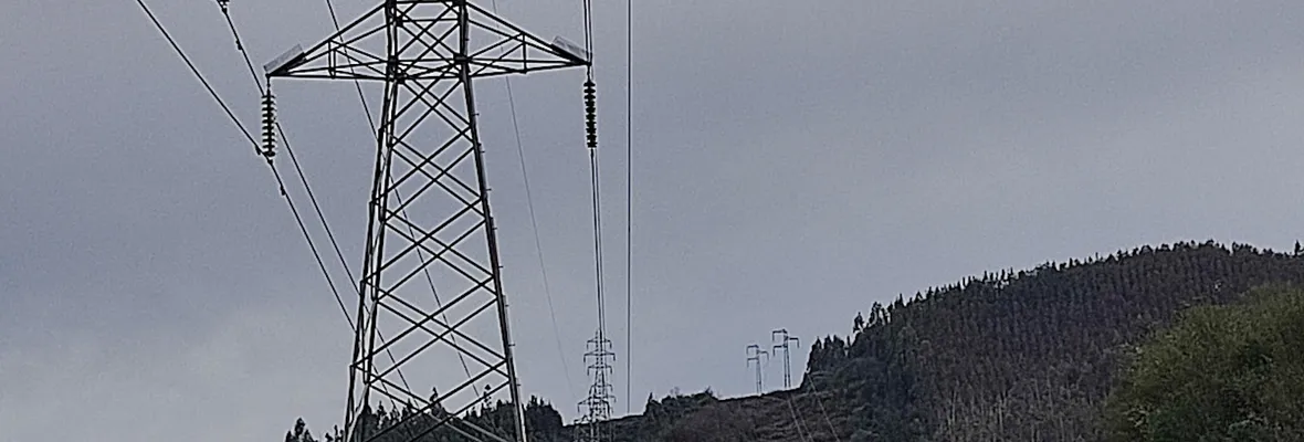 Municipios del Parque Nonguén presentaron recurso contra proyecto Itahue-Hualqui que amenaza la reserva y relictos de bosque nativo
