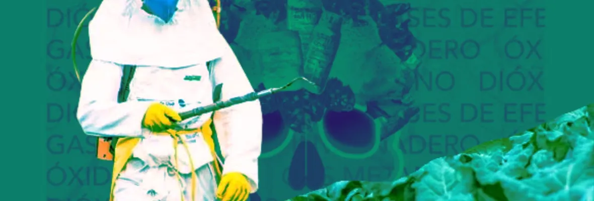 RAP-AL exige inmediata prohibición de plaguicidas altamente peligrosos: "las decisiones poseen raíces políticas y no tecnológicas"