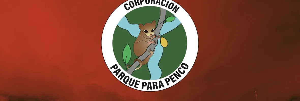 Corporación Parque para Penco: "Se quemó el parque, se quemó donde se quiere instalar la minera"