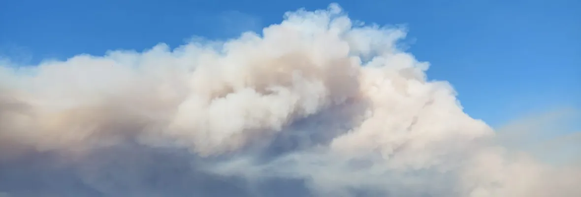 Múltiples focos de incendios forestales afectan comunas del Gran Concepción